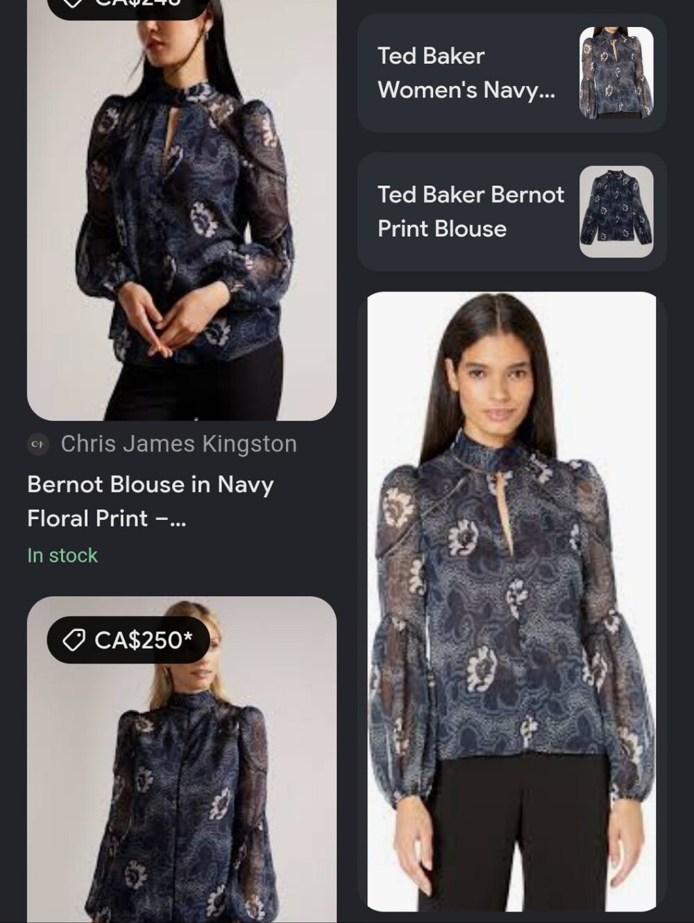 Ted Baker Navy Floral Sheer High-Neck Blouse